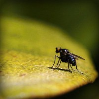 /album/isa-gorkem/photolia-a07-jpg/